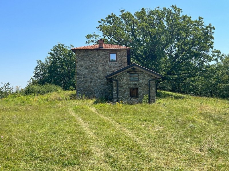Detached house in Piana Crixia