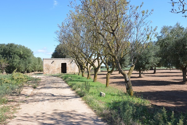 Cabaña en Carovigno