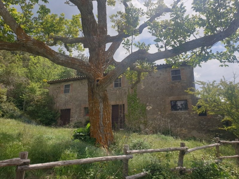 Ferme à Orvieto