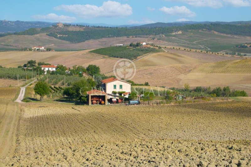 Farmhouse in Cinigiano