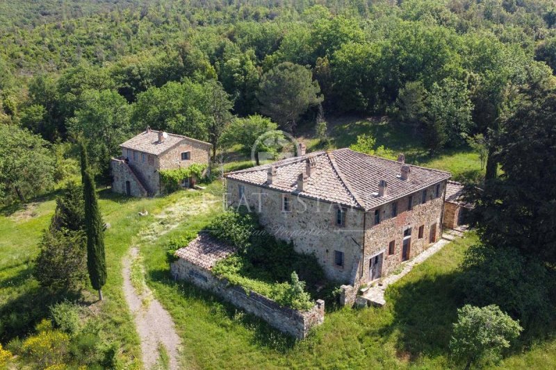 Bauernhaus in Montalcino