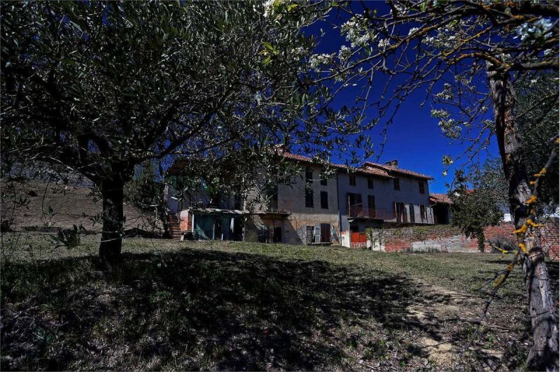 Farmhouse in Montechiaro d'Asti