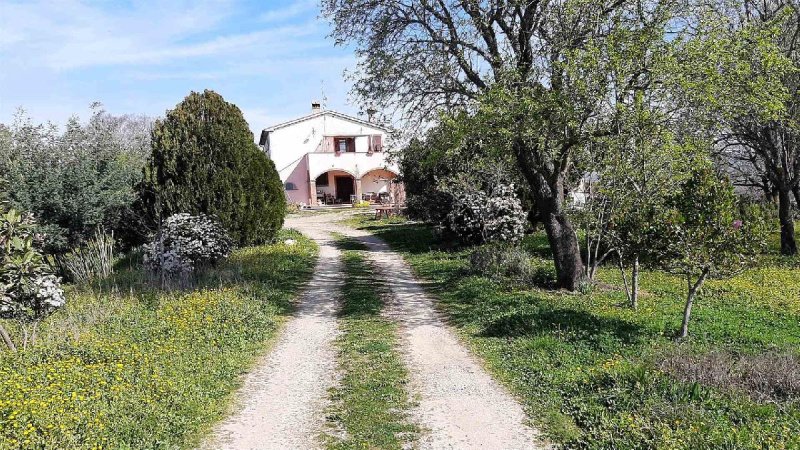 Farmhouse in Magliano in Toscana