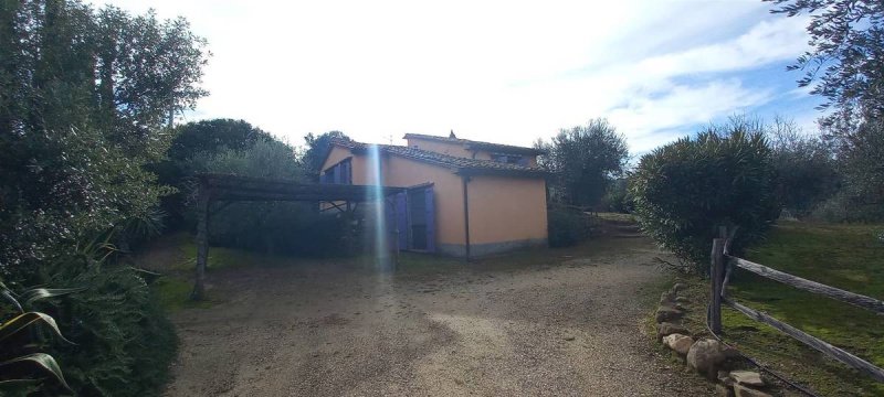 Ferme à Scansano