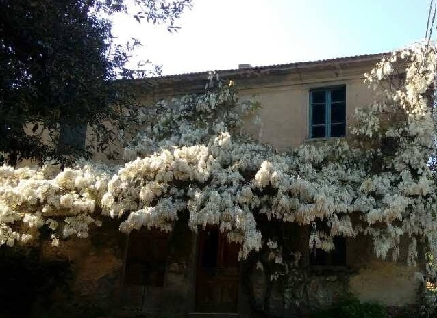 Huis op het platteland in Casciana Terme Lari