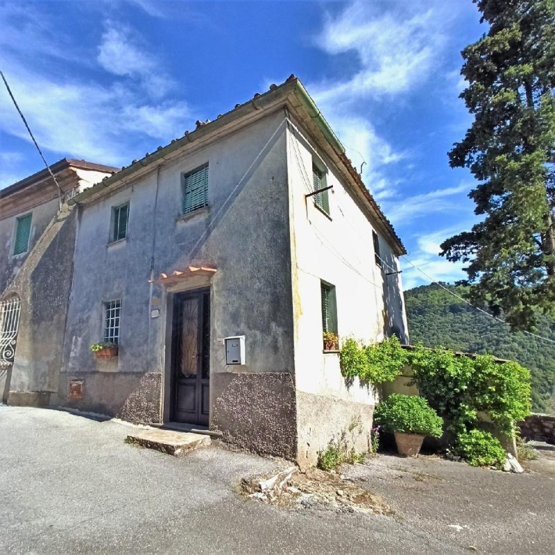 Casa semi-independiente en Lucca