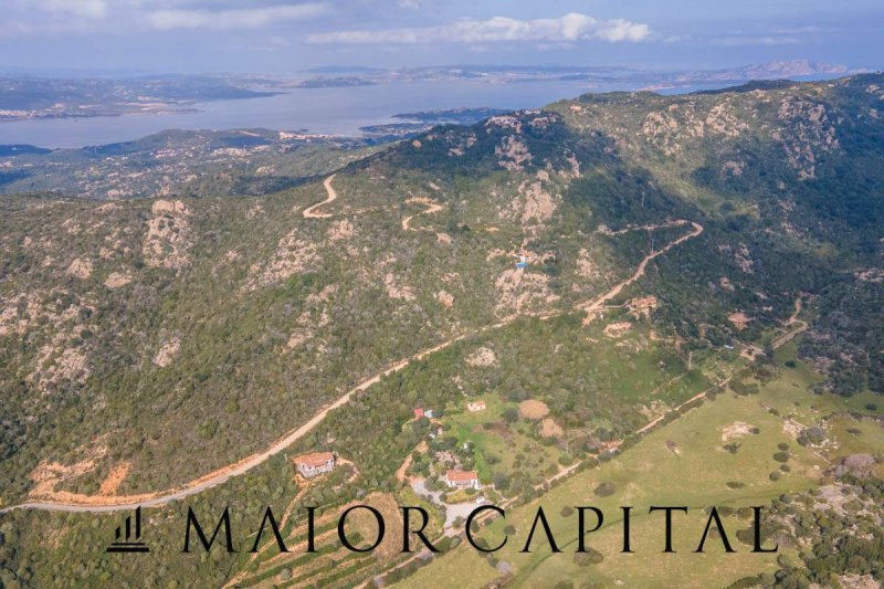 Terrain agricole à Arzachena