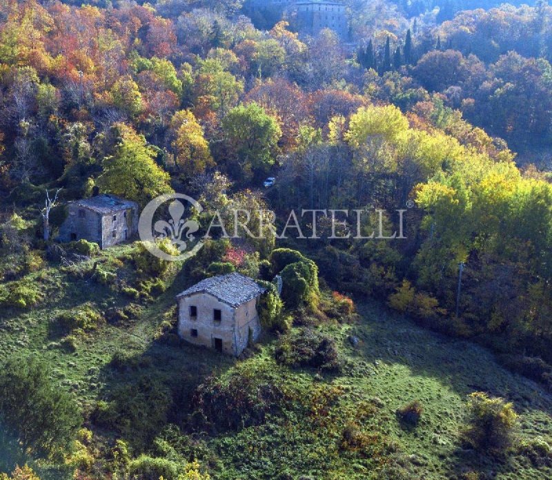 Cabaña en Castiglione d'Orcia
