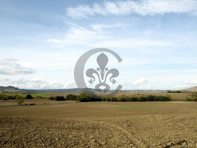 Ferme à Castiglione d'Orcia