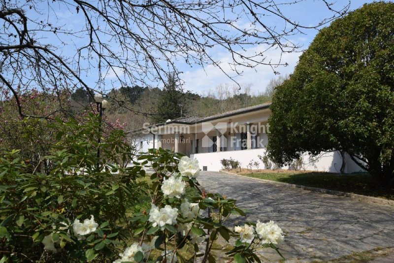 Villa à Camaiore