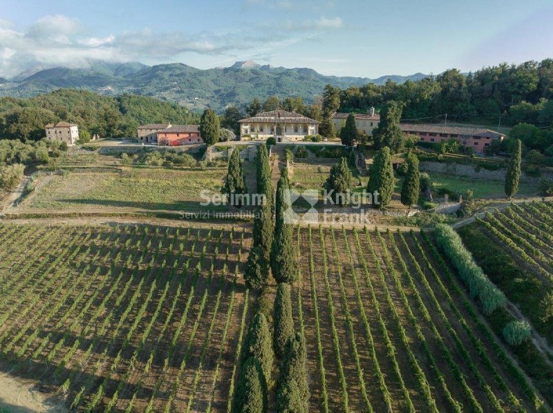 Commercial property in Lucca