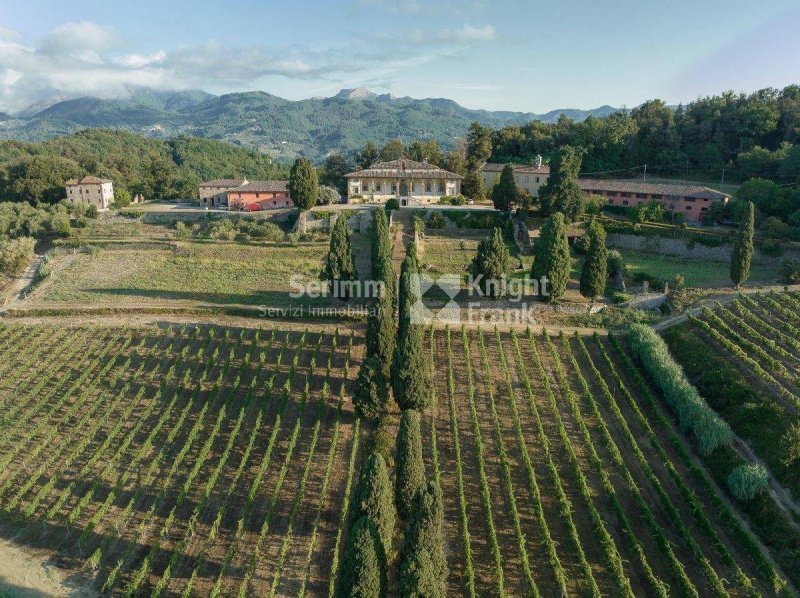 Klein huisje op het platteland in Lucca