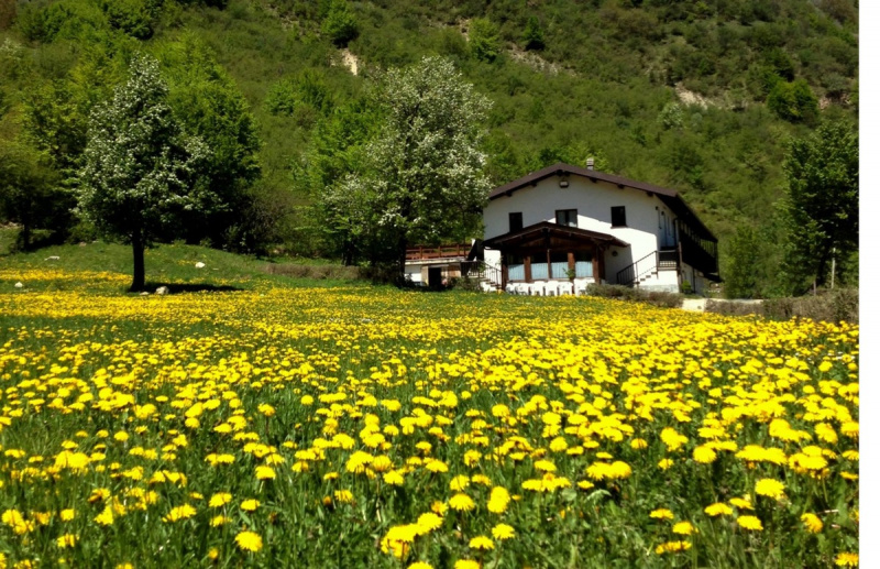 Agrotourisme à Brallo di Pregola