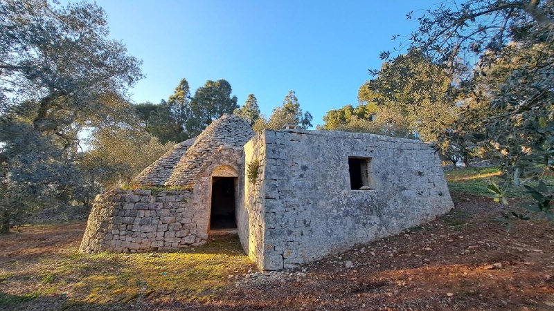 Trullo (Rundhaus) in Ostuni