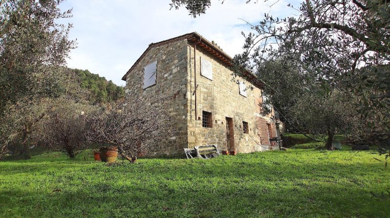 Bauernhaus in Pescaglia