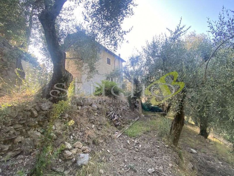 Villa i Olivetta San Michele