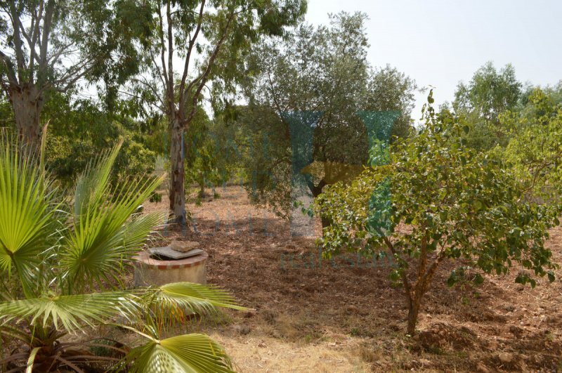 Maison individuelle à Noto