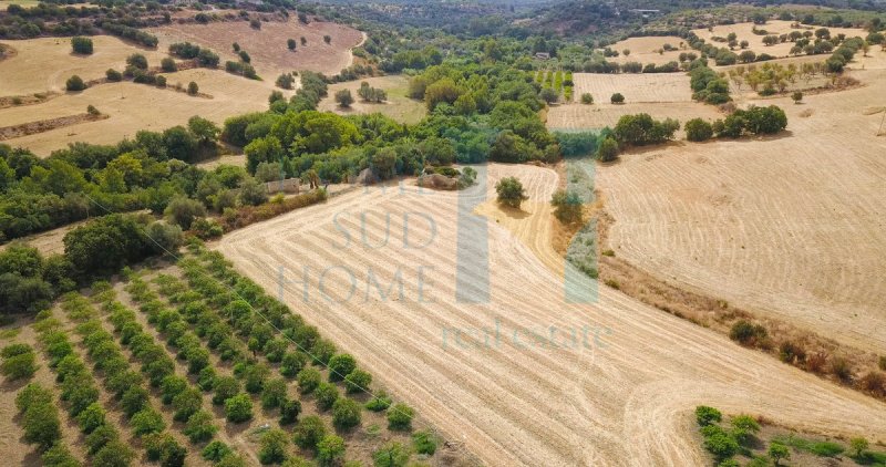 Ferme à Noto