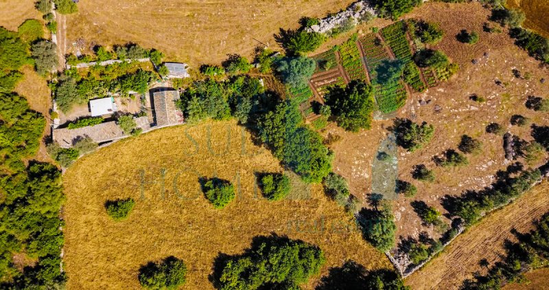 Huis op het platteland in Noto