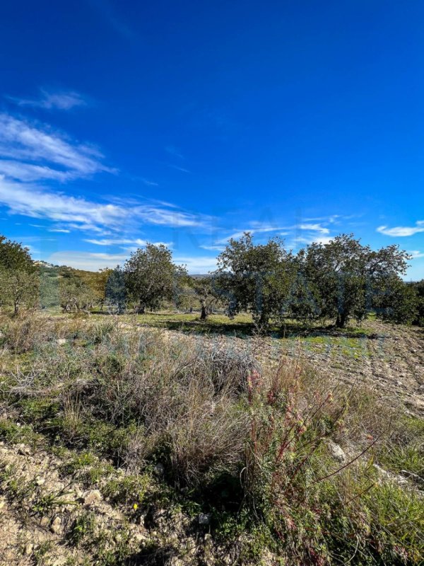 Maison de campagne à Noto