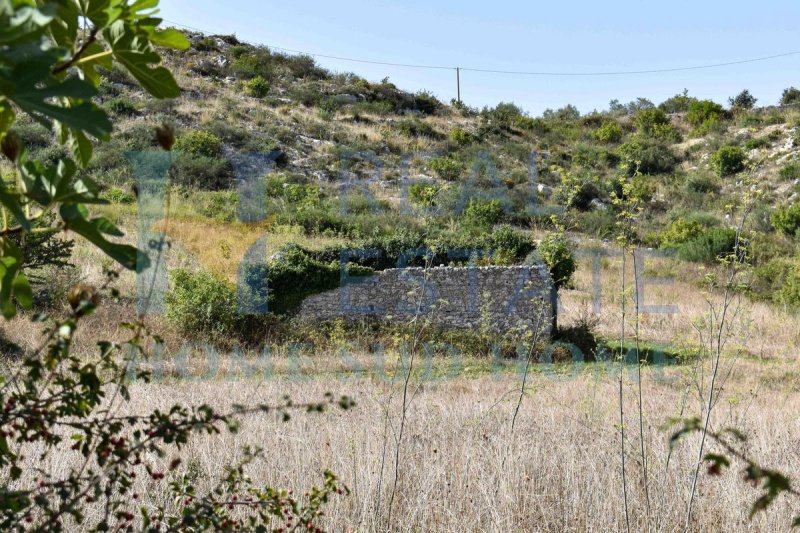 Building plot in Noto