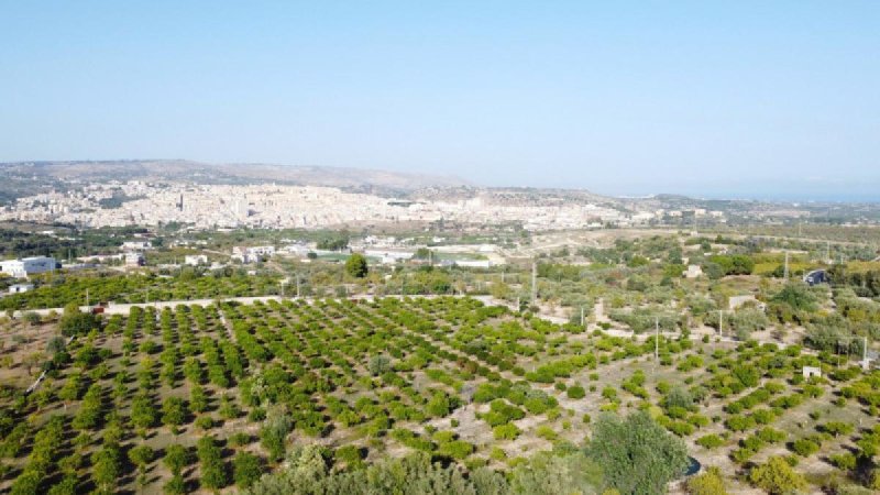 Agricultural land in Noto