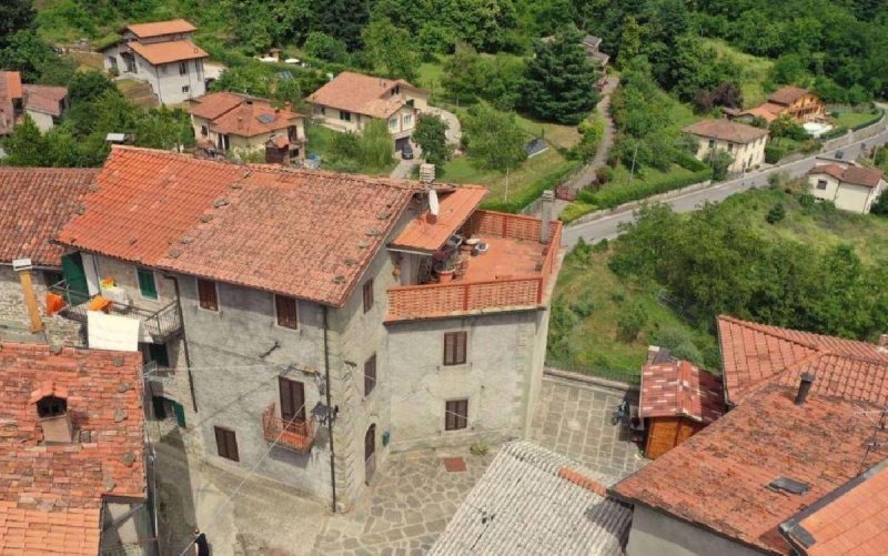 Einfamilienhaus in San Romano in Garfagnana
