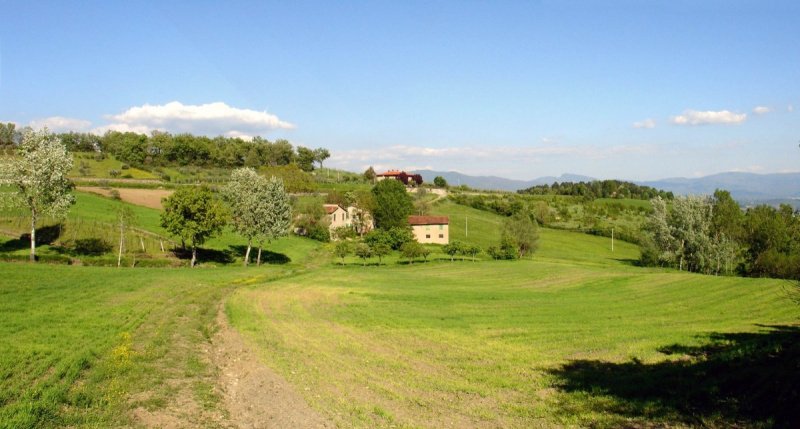 Landhaus in Castel San Niccolò