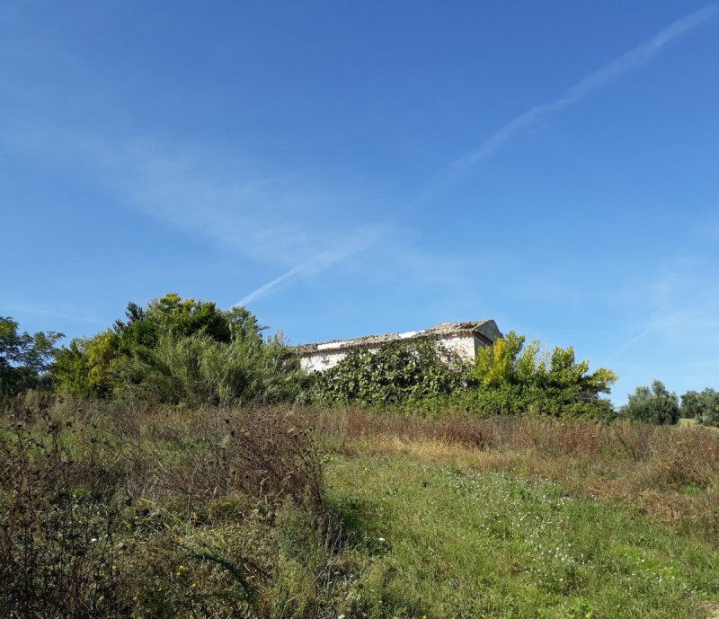Landwirtschaftliche Fläche in Giulianova