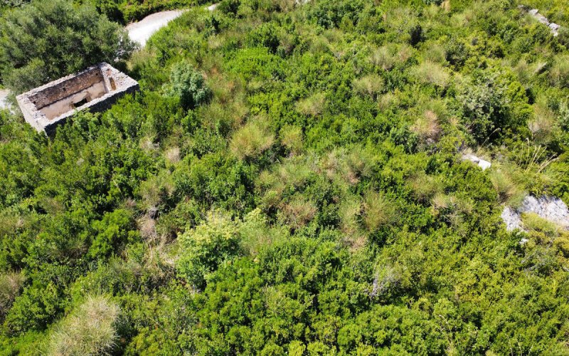 Klein huisje op het platteland in Falconara Albanese