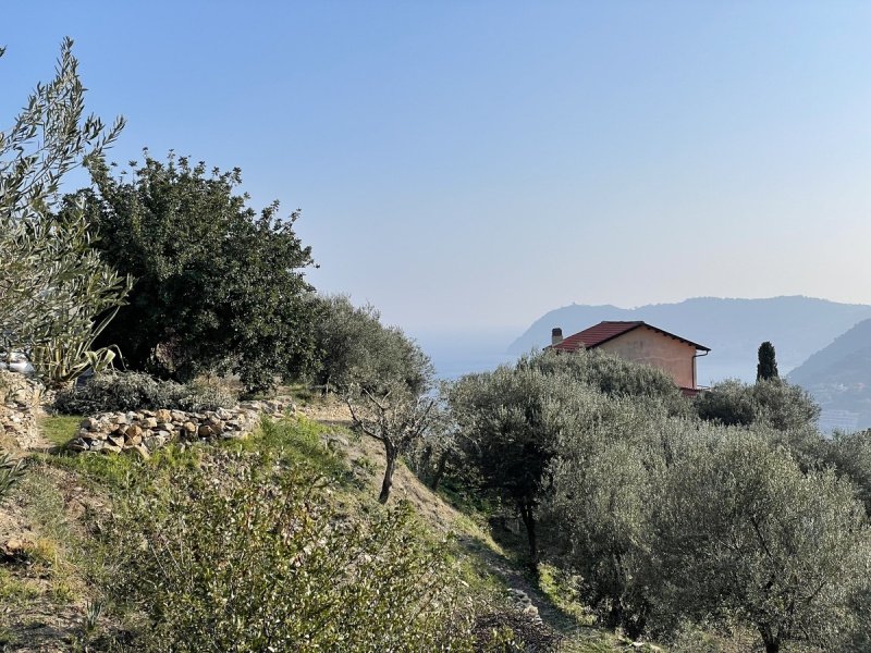 Terrain à Alassio